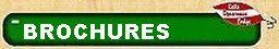 Online Brochures