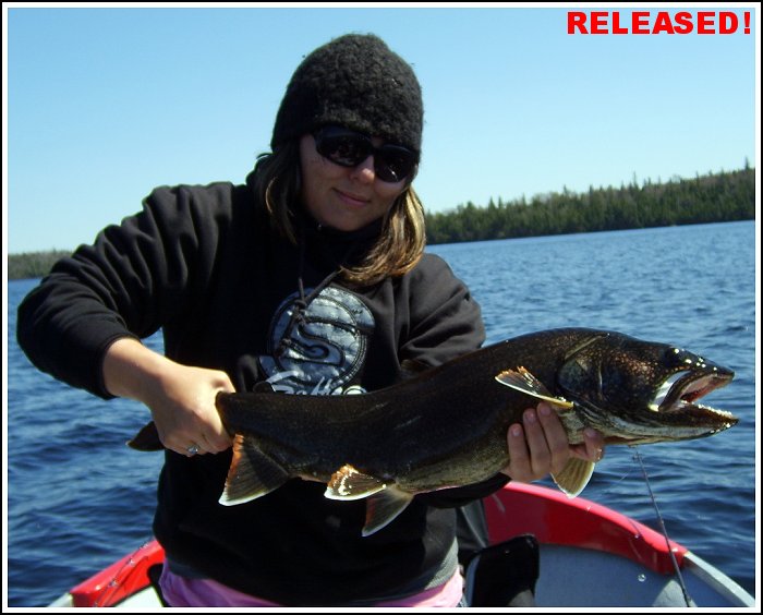 Quebec Fishing - Lake Ogascanan Lodge