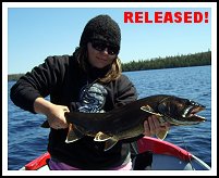 Lake Trout - Lake Ogascanan Lodge - Quebec