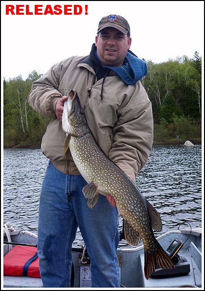 pike_5_lg.jpg (84988 bytes)