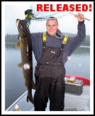 Northern Pike Released!