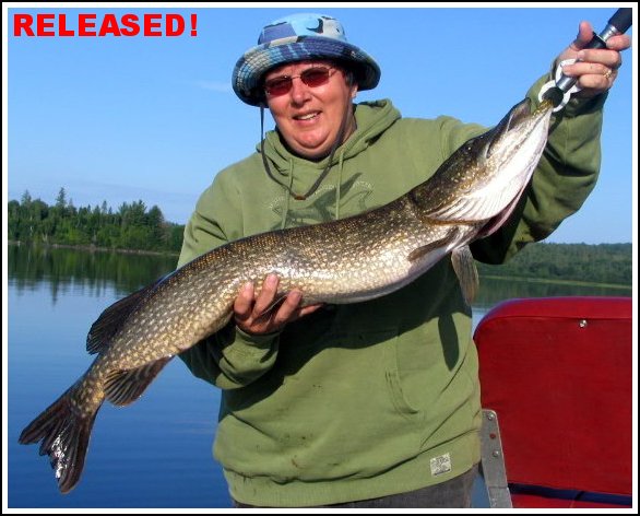 Quebec Fishing - Lake Ogascanan Lodge