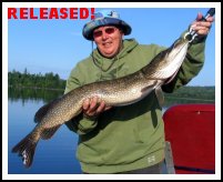 Northern Pike Released!