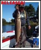 Northern Pike Released!