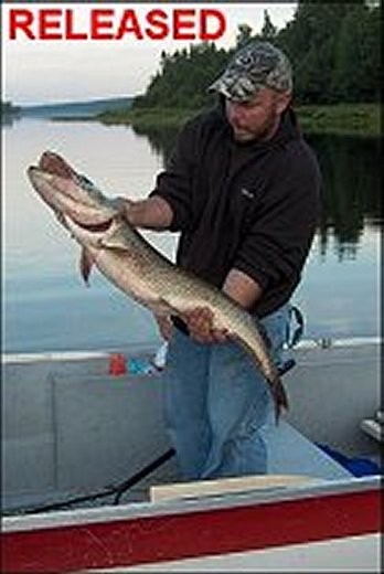 Pike Released - Lake Ogascanan - Quebec Lodges