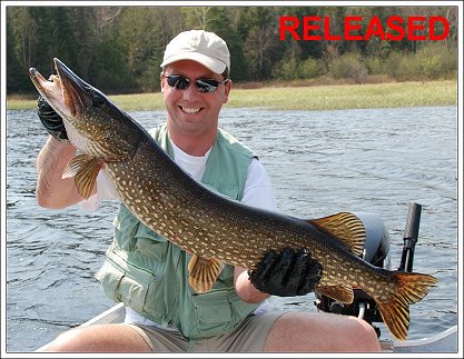 Northern Pike - Released - May 2007