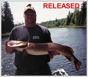 Northern Pike - Released - June 2007
