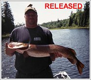 northern pike released June 2007