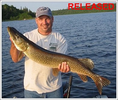 Northern Pike - Released - June 2007