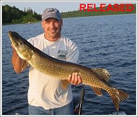 northern pike released June 2007