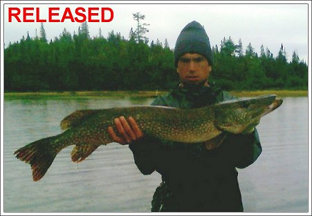Northern Pike - Released - August 2007