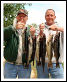 Lake Ogascanan Walleye