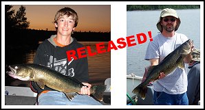 Lake Ogascanan Walleye - Released