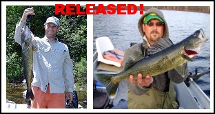 Lake Ogascanan Walleye - Released