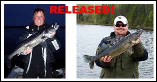Lake Ogascanan Walleye - Released