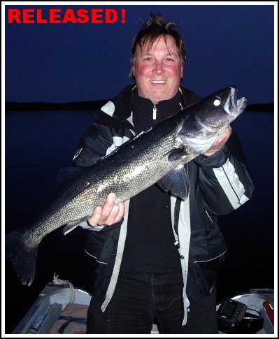 Walleye - Released