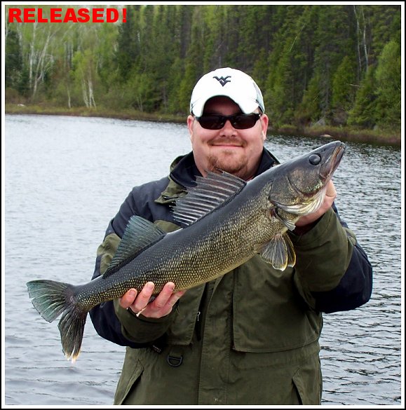 Walleye - Released