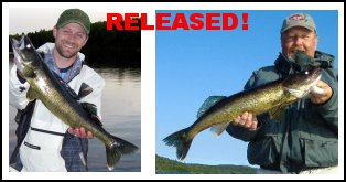 Lake Ogascanan Walleye - Released
