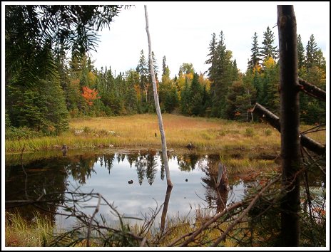 Lake Ogascanan - Moose Hunting - Quebec