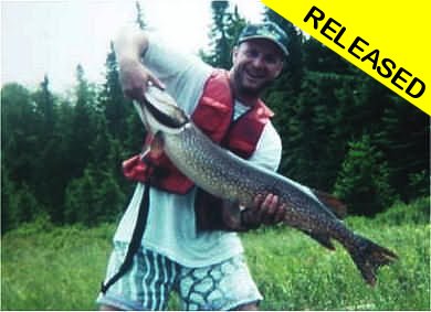 Released 2003