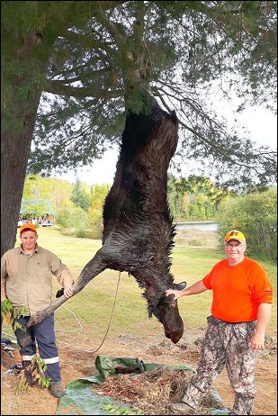 Lake Ogascanan - Moose Hunting - Quebec