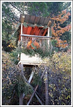 Lake Ogascanan - Moose Hunting - Quebec