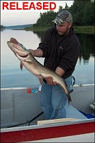 Pike - Lake Ogascanan Lodge - Quebec