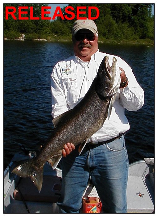 Lake Trout Released June 2007