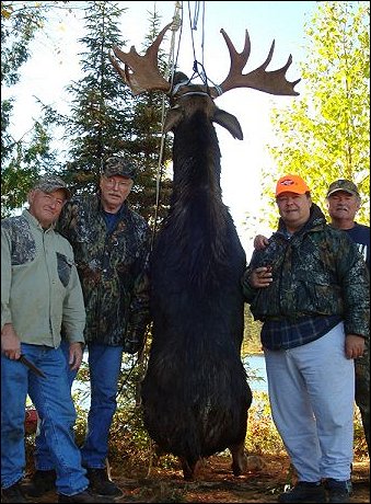 Moose Hunting - Lake Ogascanan Lodge