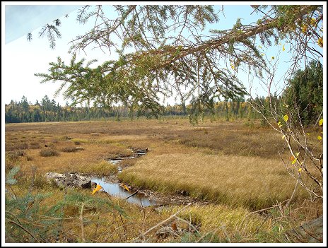 Lake Ogascanan - Moose Hunting - Quebec