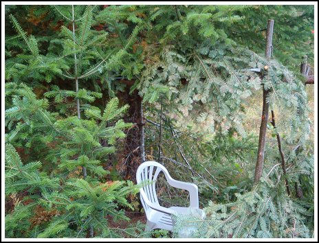 Lake Ogascanan - Moose Hunting - Quebec