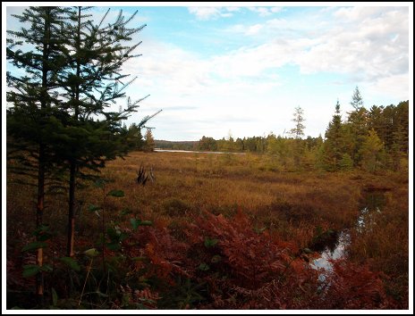 Lake Ogascanan - Moose Hunting - Quebec