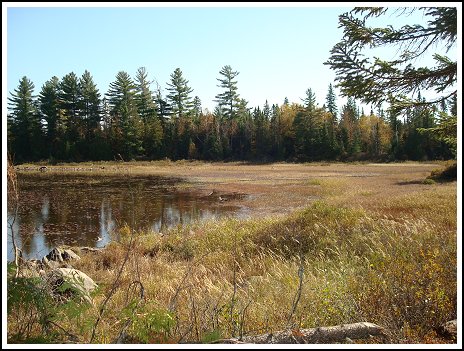 Lake Ogascanan - Moose Hunting - Quebec