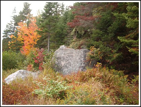 Lake Ogascanan - Moose Hunting - Quebec