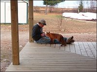 Fox