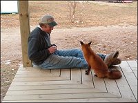 Fox