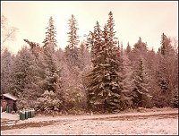 Snow